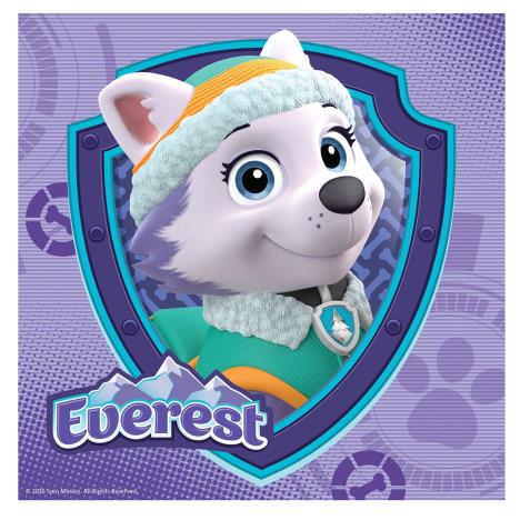 Paw Patrol Skye & Everest 3 x 49 pc Jigsaw Puzzles Extra Image 1